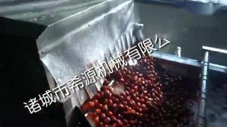 春季源頭廠貨 水果蔬菜去農(nóng)藥殘留清洗機(jī)