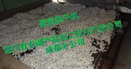 平床蠶繭烘干機(jī)，網(wǎng)帶蠶繭烘干機(jī)