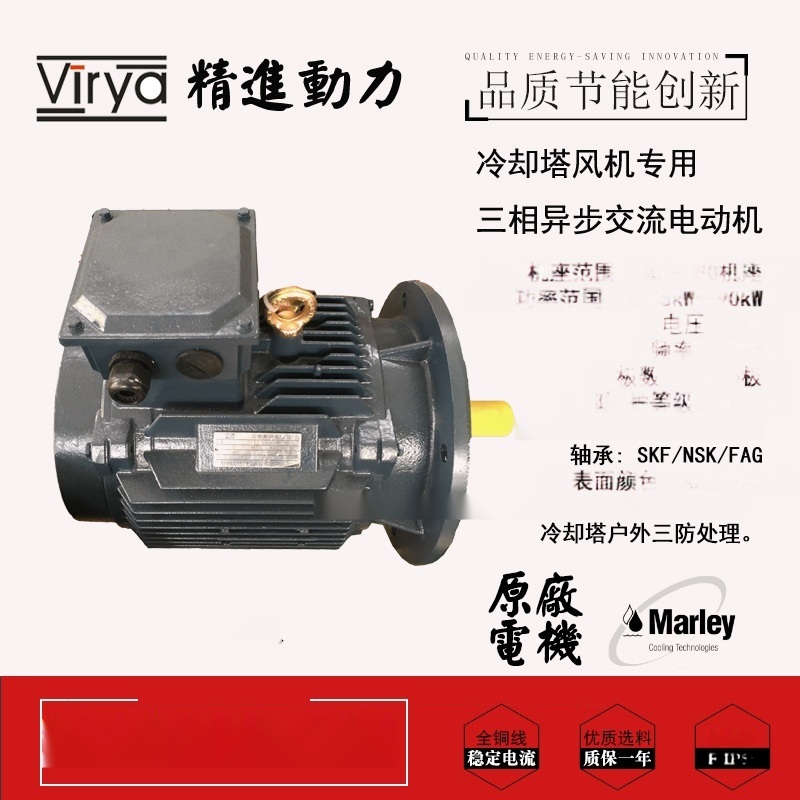 冷卻塔立式電機(jī)YE2 200L-6-18.5kW