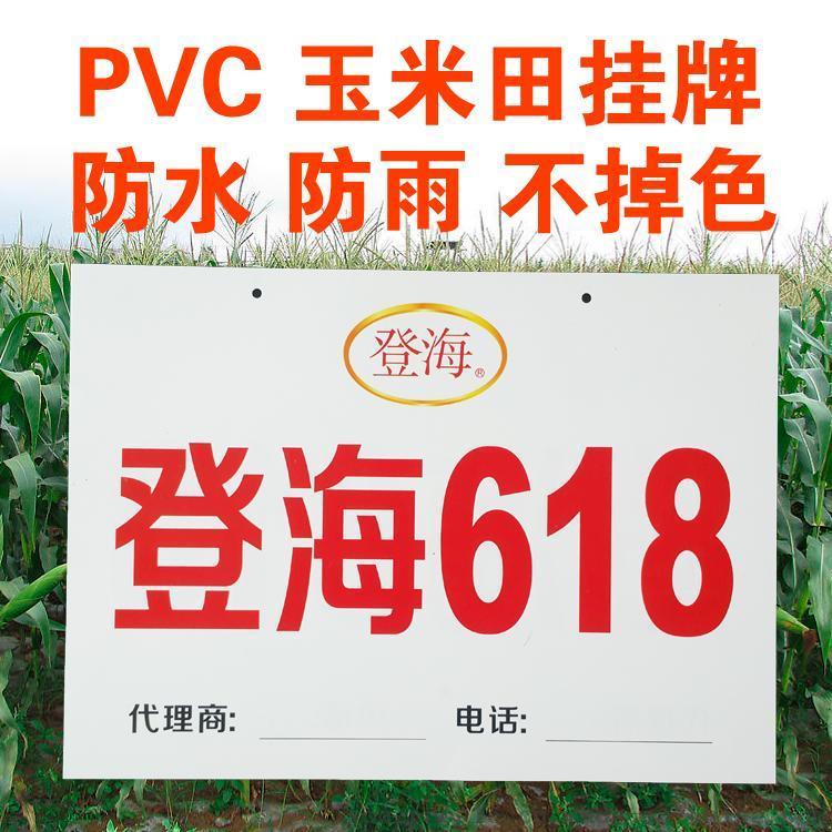 玉米田掛牌防水防曬掛牌PVC示范牌玉米種子牌玉米掛牌