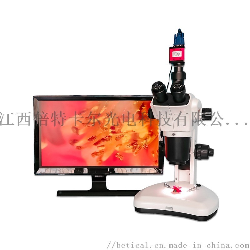 XTL-7063T-620HS型三目生物解剖鏡