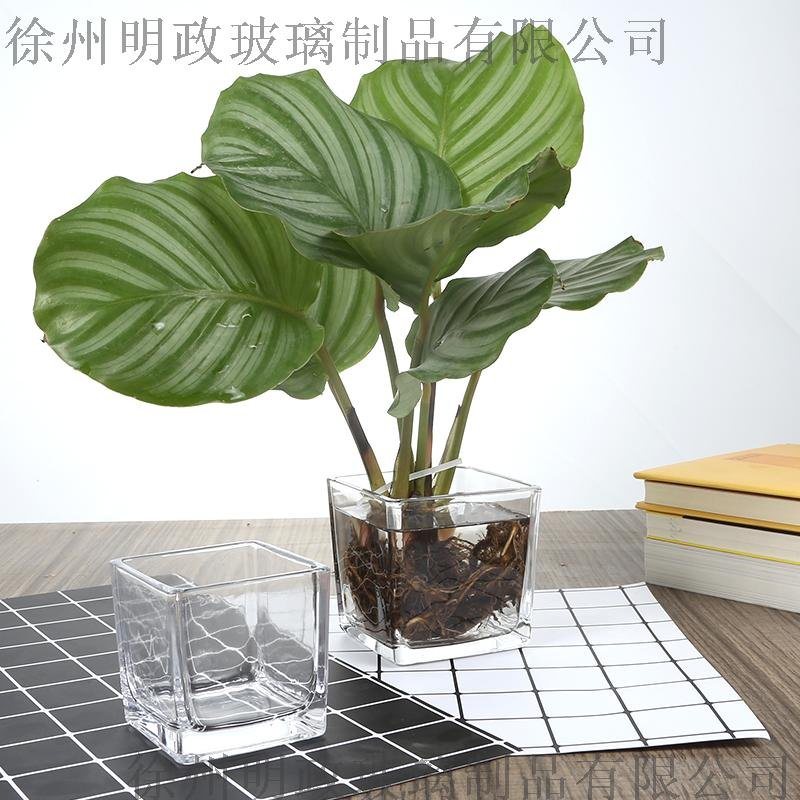 客廳水培植物容器玻璃瓶小清新干花插花擺件透明花器裝飾品花瓶