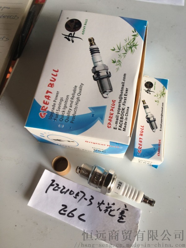 火花塞SPARK PLUG